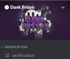 Verification Channel Discord.png